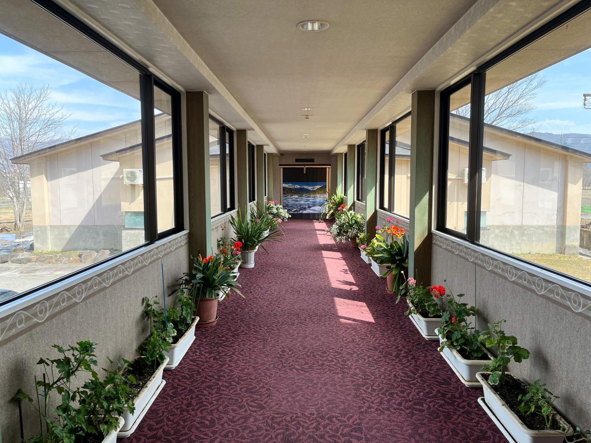 Hotel Goryukan Χακούμπα Εξωτερικό φωτογραφία